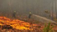 Decretan Alerta Roja por incendio forestal en Lago Peñuelas